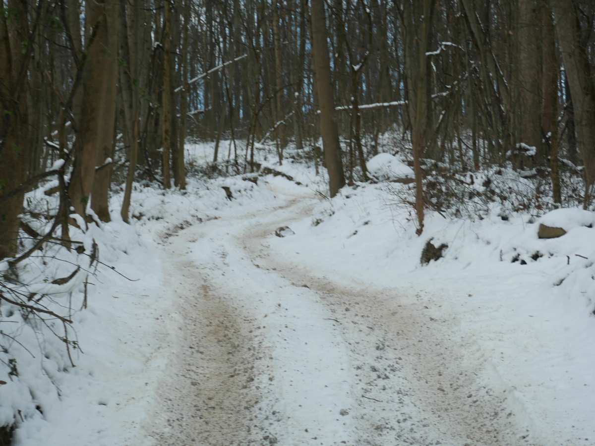 Trail 38 photo 5
