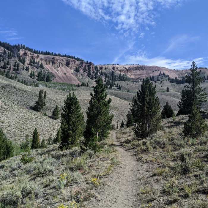 Near Little Boulder Creek