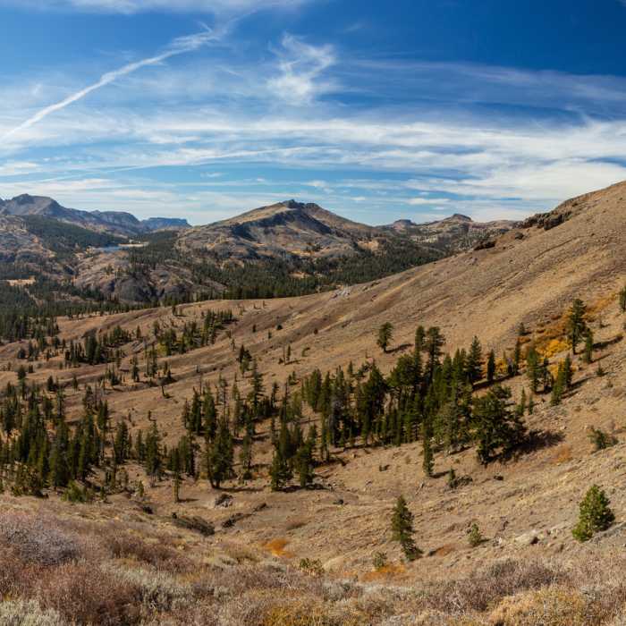 View from the boundary between Stanislaus National Forest and Humboldt-Toiyabe National Forest Near Humboldt Peak East Ridge