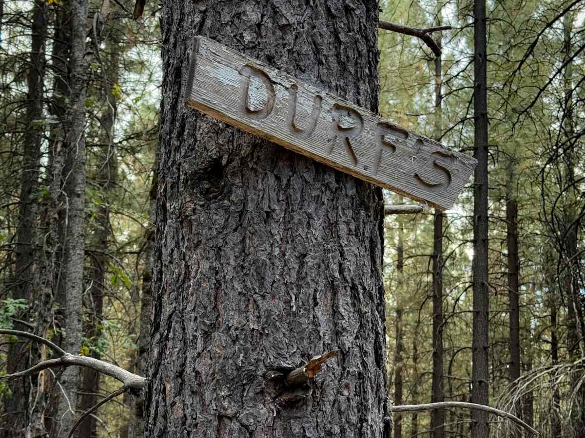 Deer Creek (#25)  photo 6