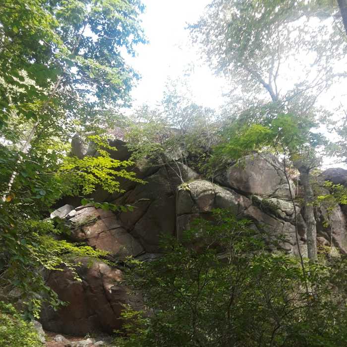 Part glacial erratic, part bedrock, the rock is a unique feature to the area. Near Long Pond (a.k.a. Moonrise Kingdom)