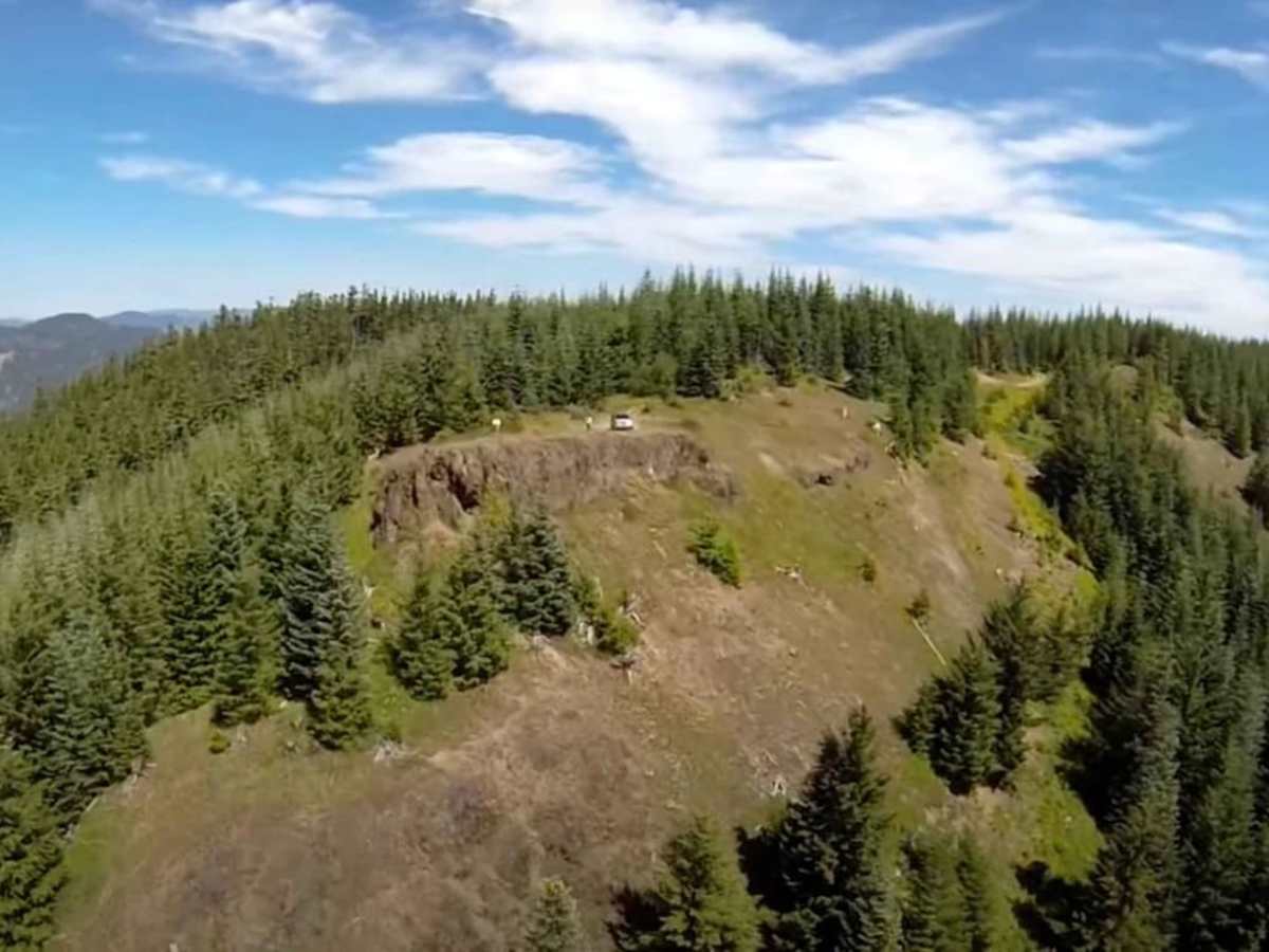 National Forest Development Road 310 photo 5
