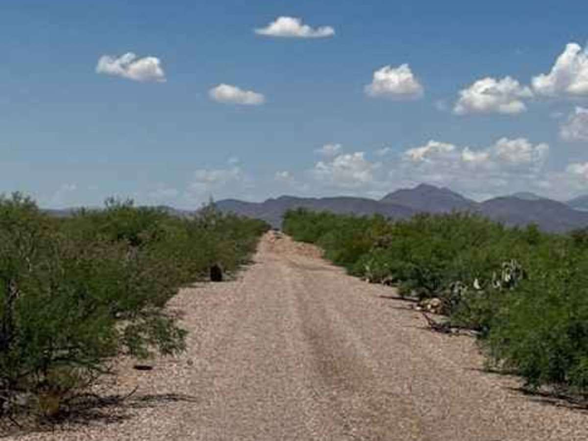 BLM PE1119 trail photo
