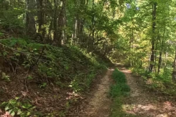 Chester Knob Lower Trail