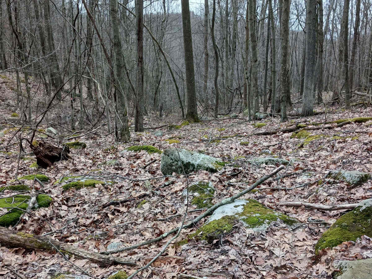 OHV 57 - Rock Run Recreation Area photo 6