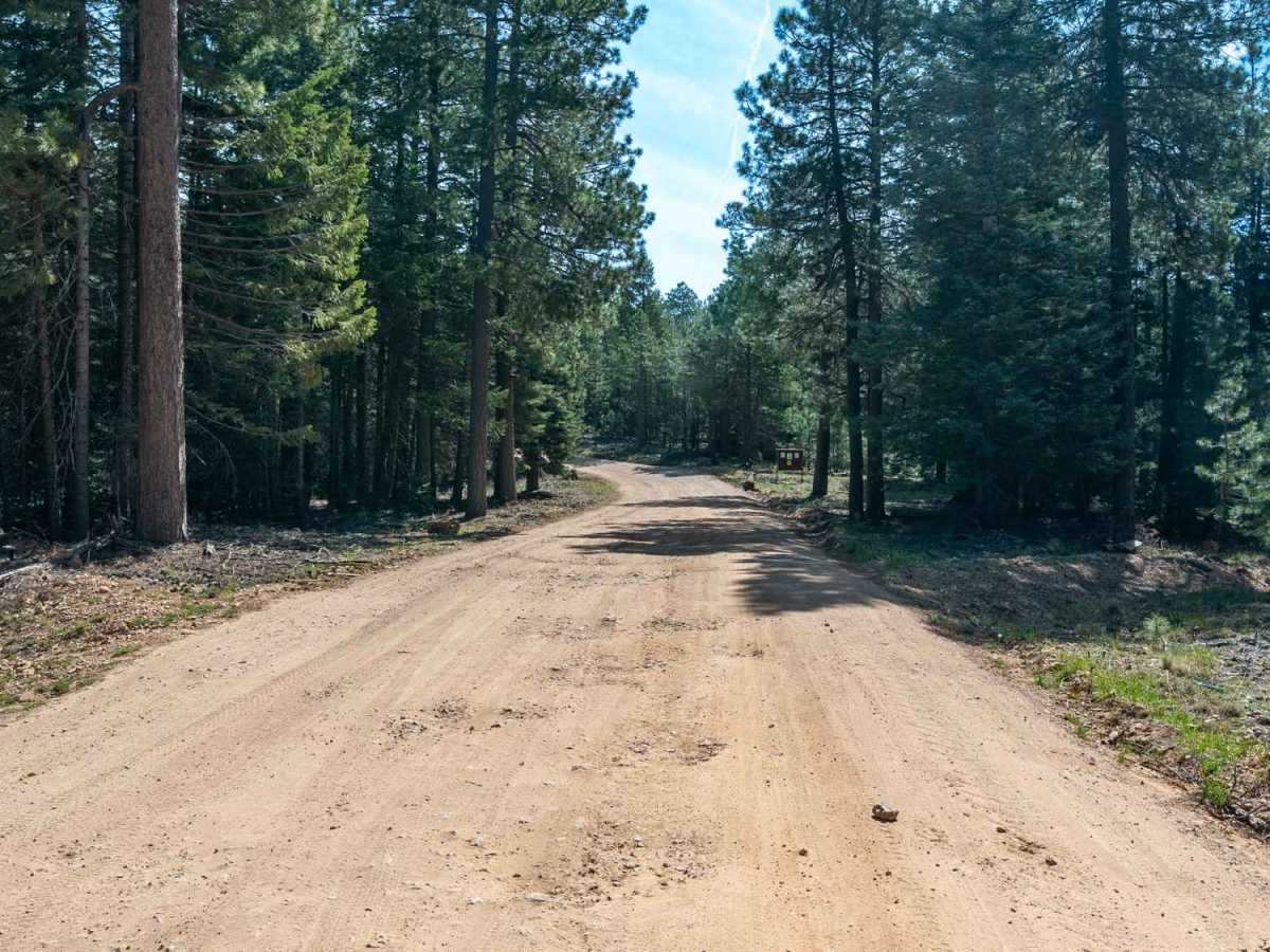 Knoll Lake - FS 295E photo 4
