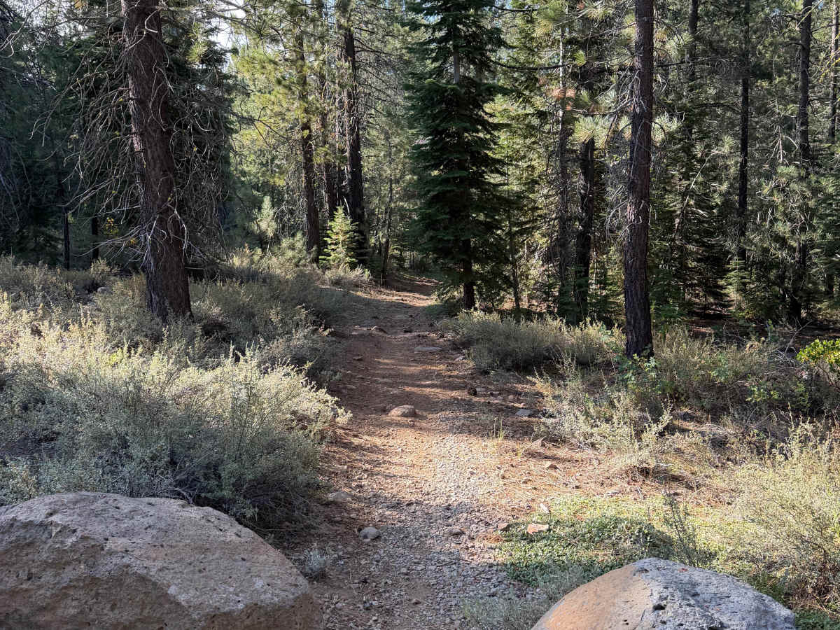 06-08 East Moto Trail trail photo