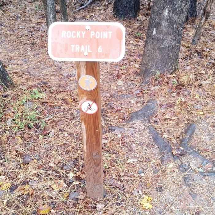 Near Rock Point Trail