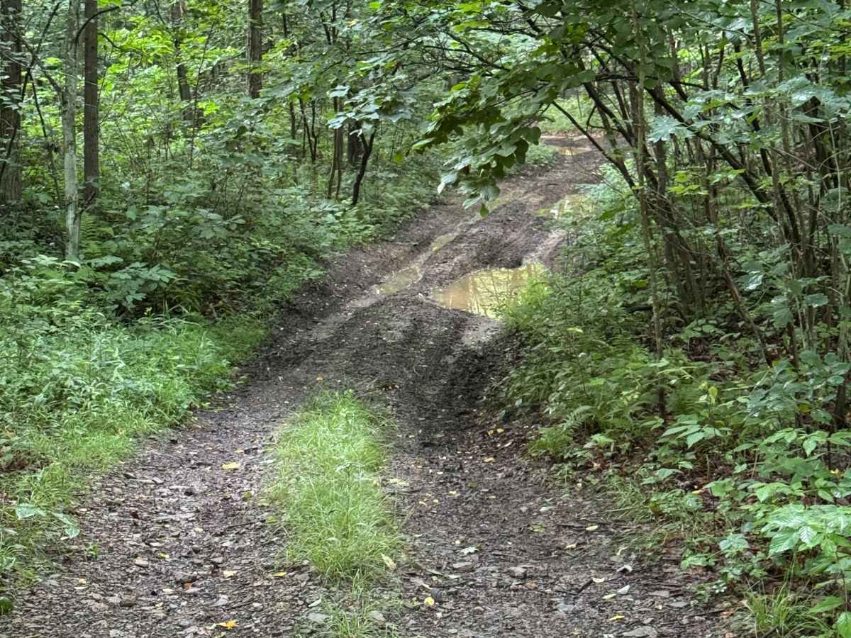 Trail 51 photo 2
