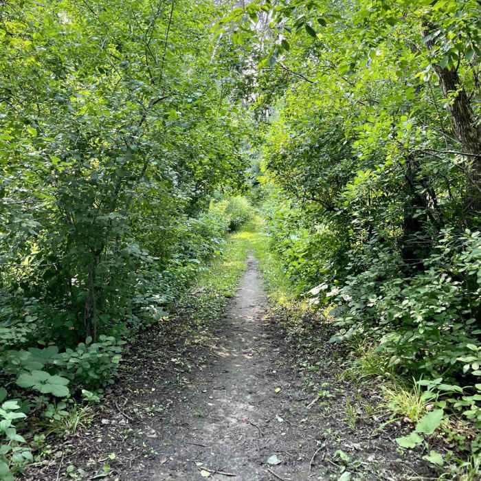Near Bald Eagle Prairie Preserve