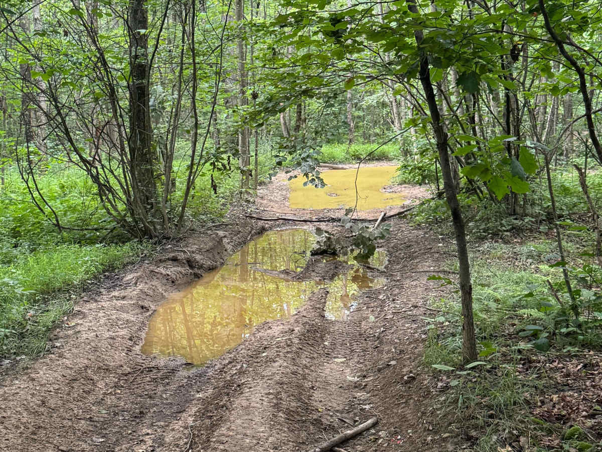 Trail 81 photo 4