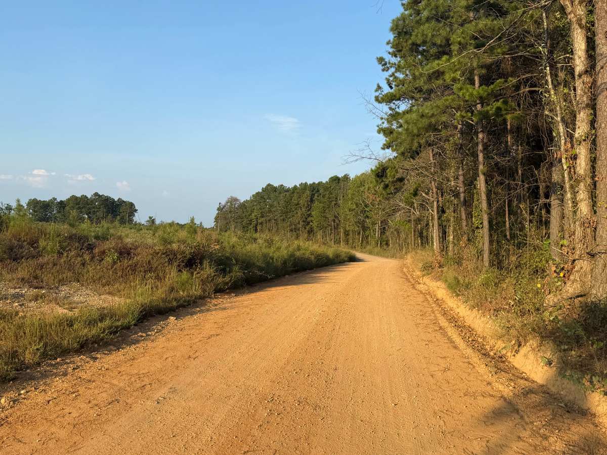 Polk Road 32 photo 6