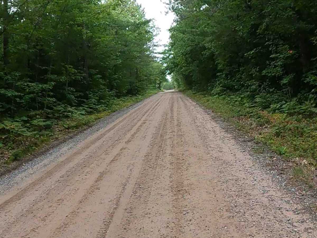 Old Brimley Grade - FS 3153 photo 3