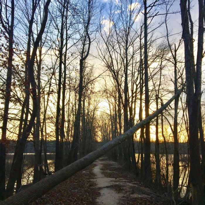 The sun sets over Jordan Lake and the Eagle Spur Trail. Near Eagle Spur Trail