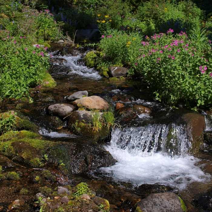 Near Stagman Ridge Trail #12