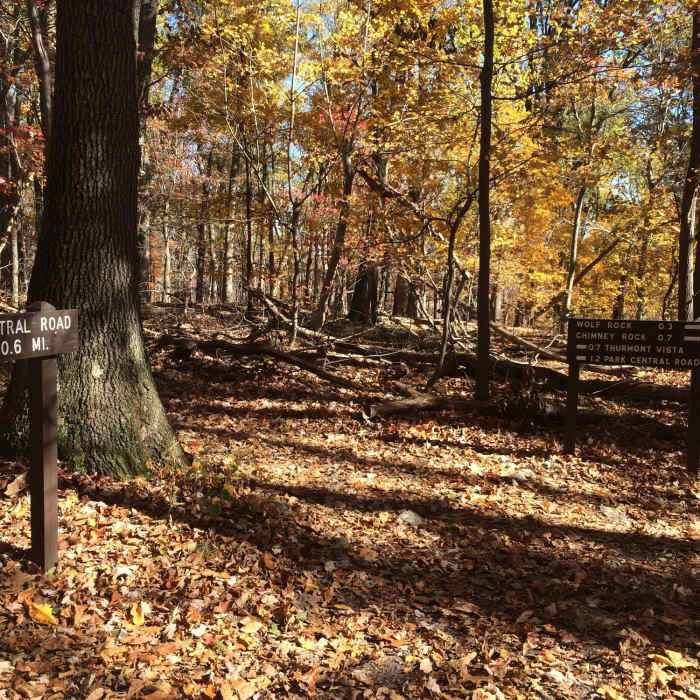 Near Blue Ridge Summit - Thurmont - Wolf Rock