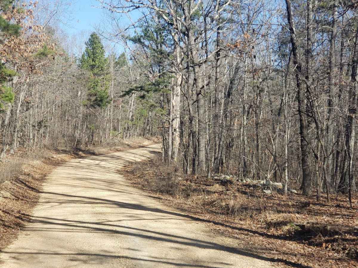 Mark Twain NF Trail photo 2