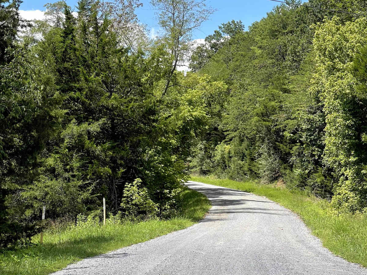 Route 818 trail photo