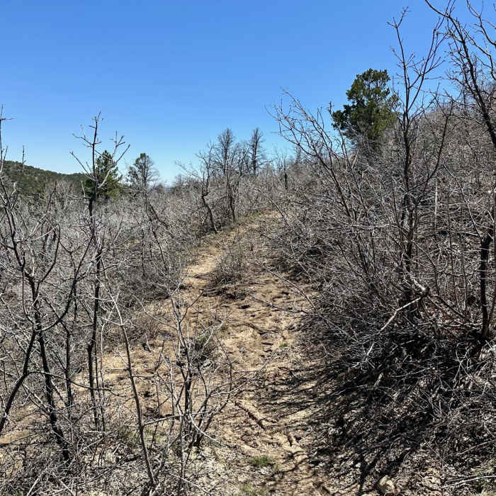 Near Hayduke Trail: Grand View Alternate