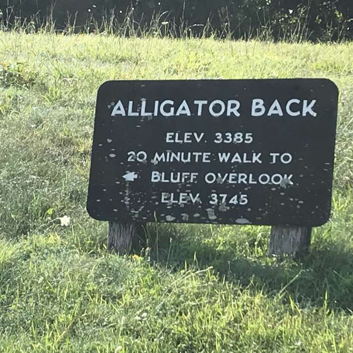 Near Alligator Rocks to Bluff Mountain