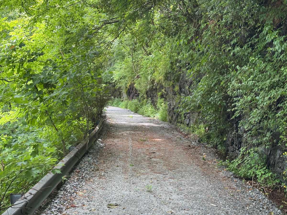 Dryman Fork - FS 421 photo 6