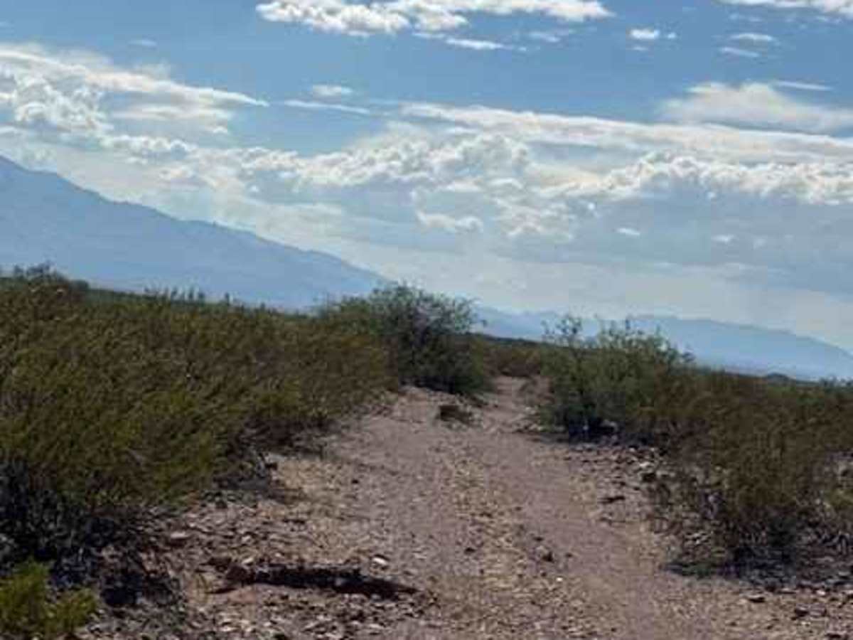 BLM PE1124 photo 4