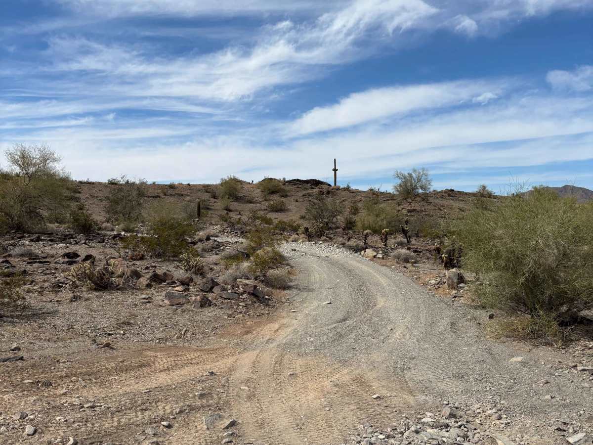BLM 0127 photo 5