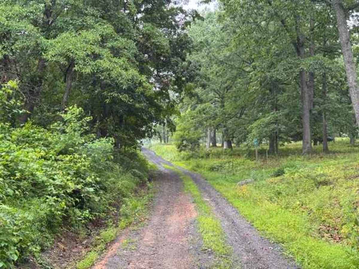 Reddinger Road photo 6