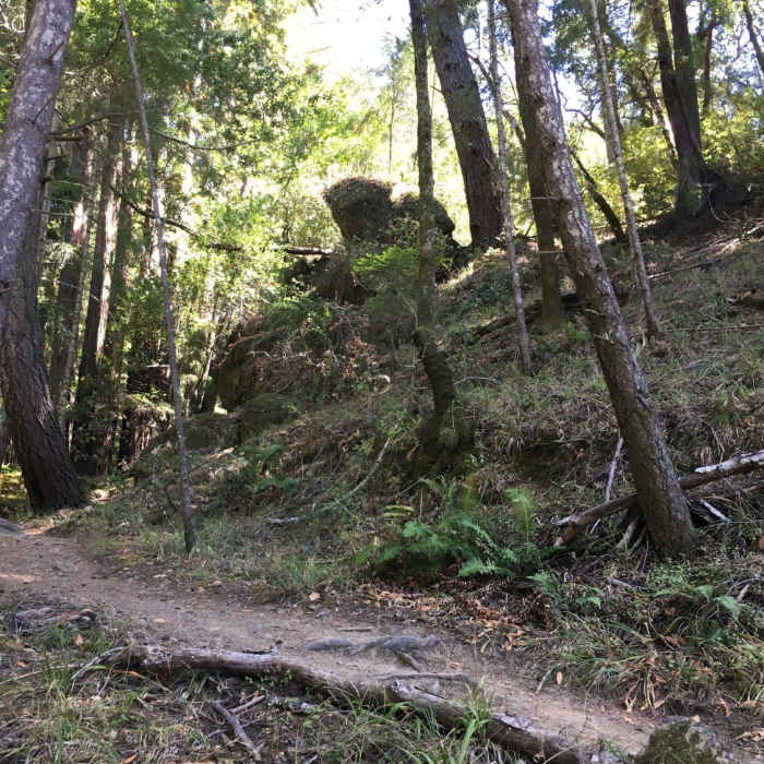 Near Rocky Ridge and Alpine Lake