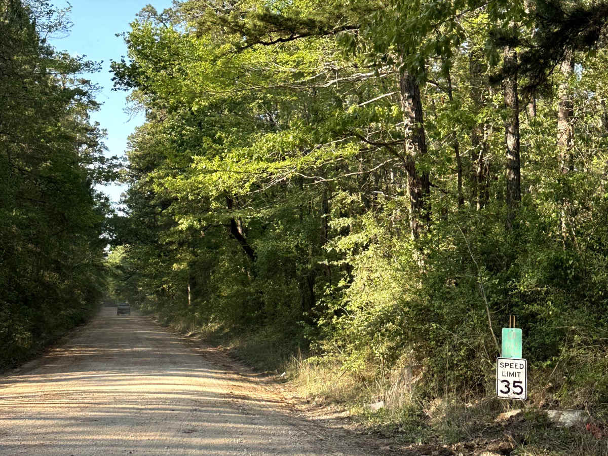 County Road 1165 trail photo