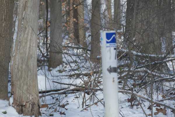 Trail 17 Lower