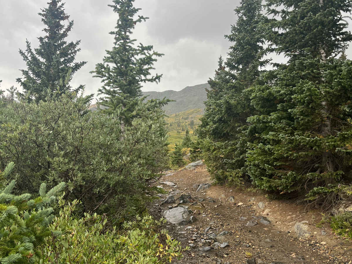 Old Tin Cup Trail photo 3