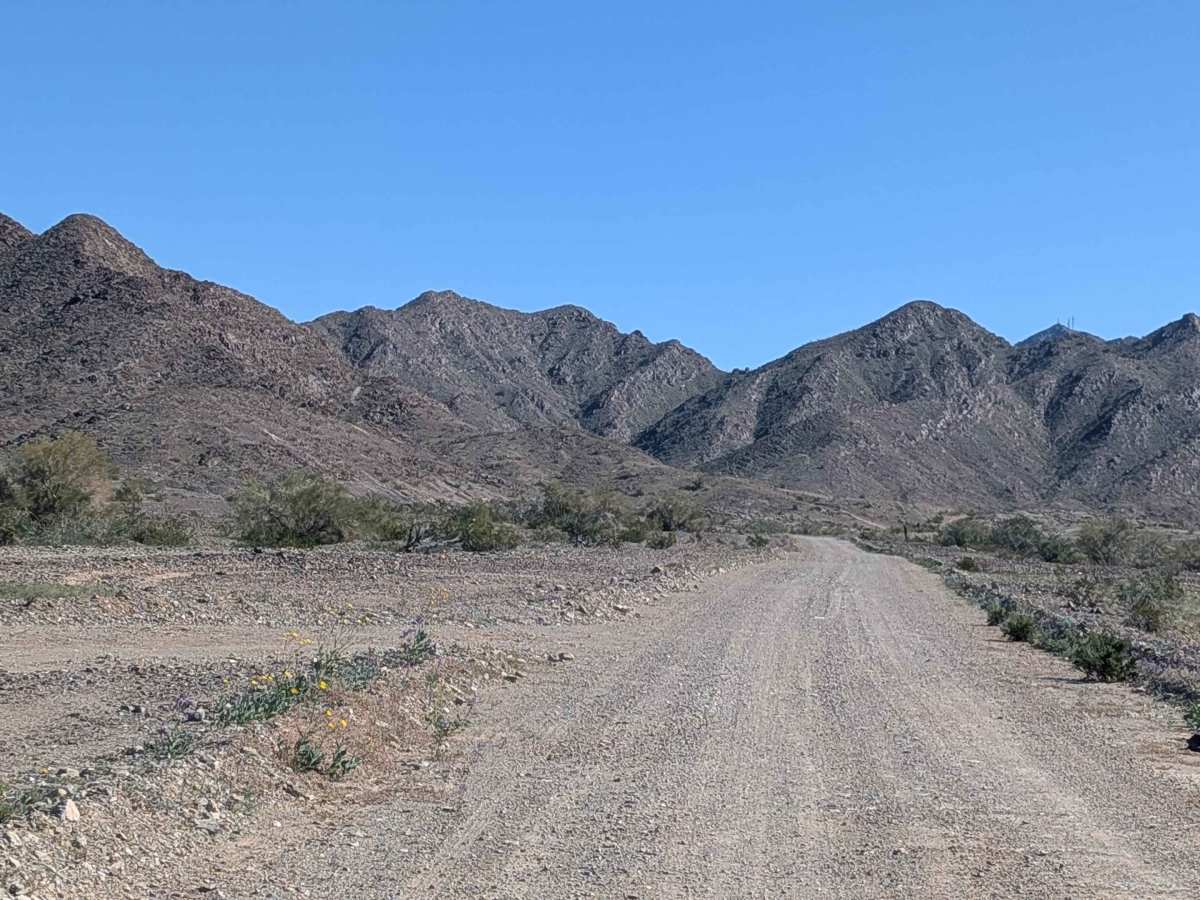 Tom Wells Road - EC1268 photo 3