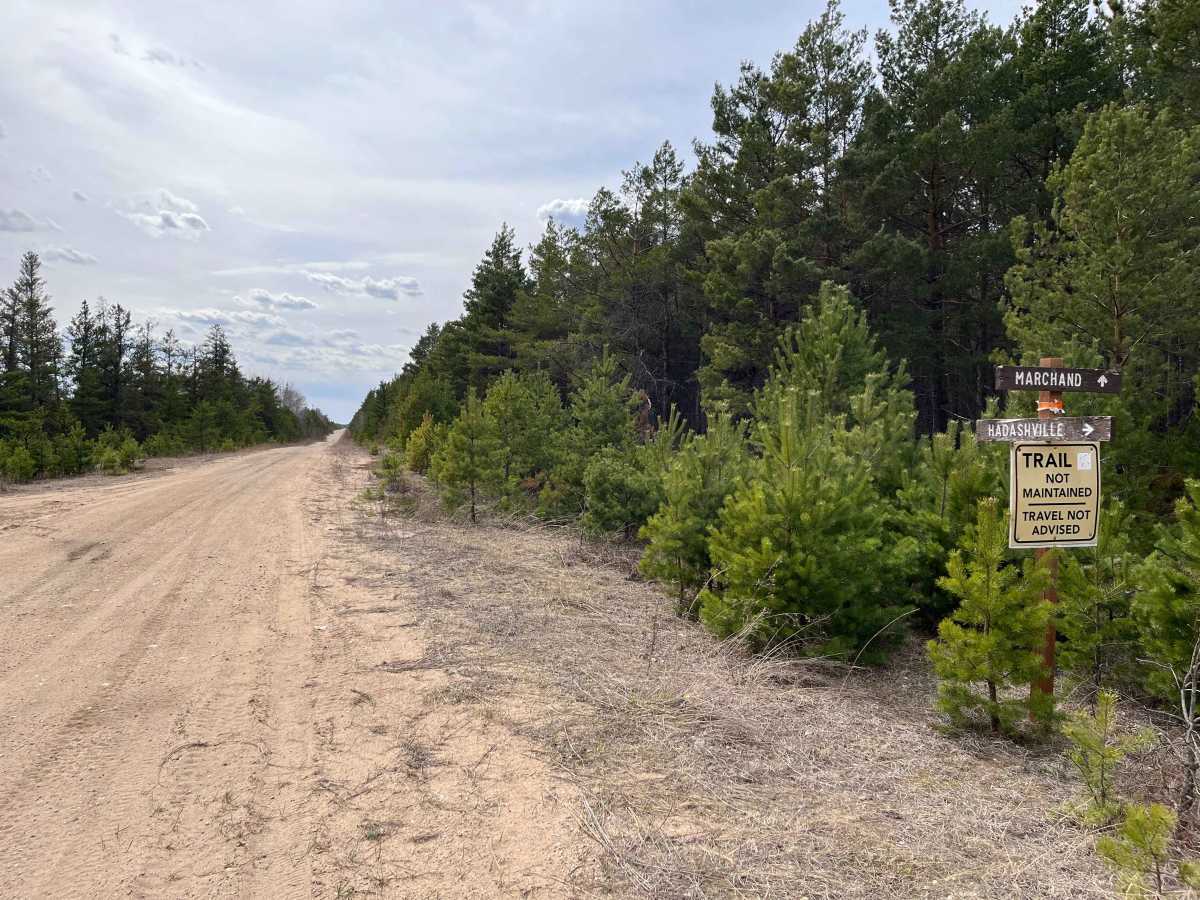 Sandilands Forestry Road 18 trail photo