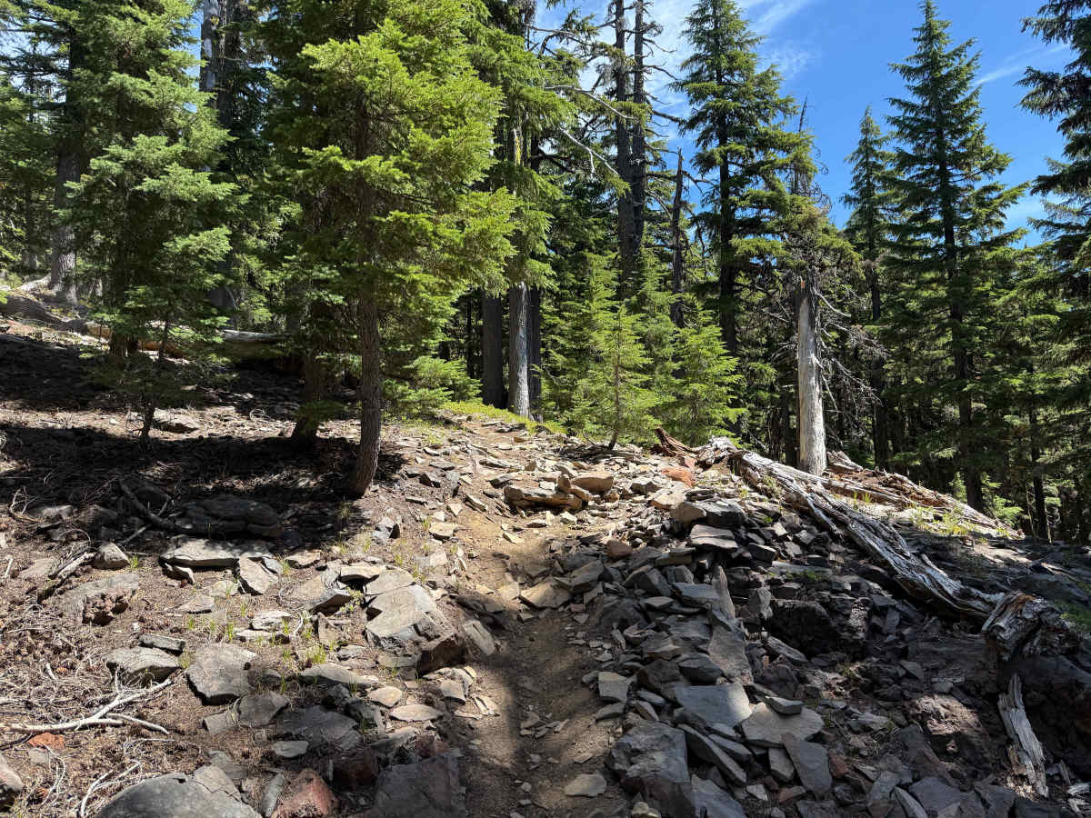 Windy Pass  photo 6