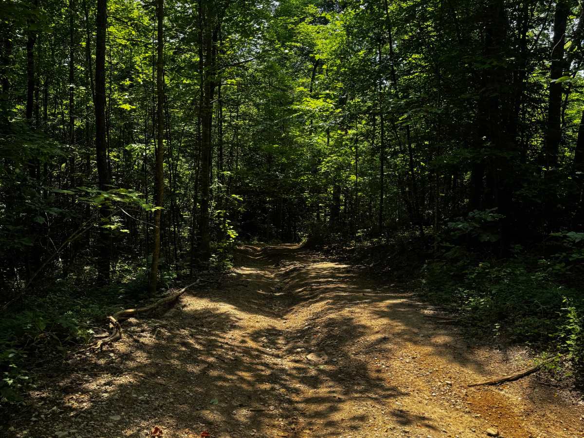 Trail 12A trail photo