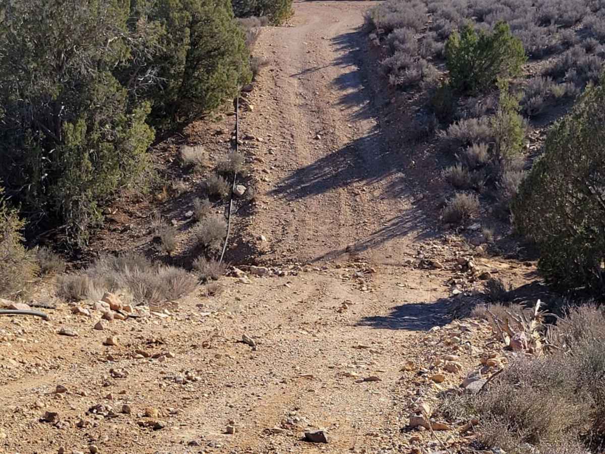 Garden Spring Loop trail photo