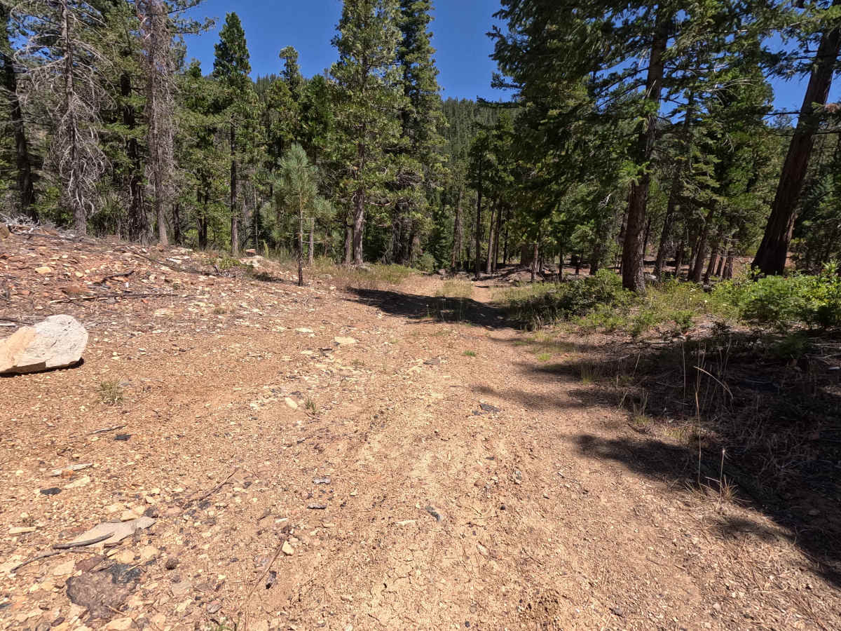 East Cabin Meadow Spur A - FS 41N04A photo 5