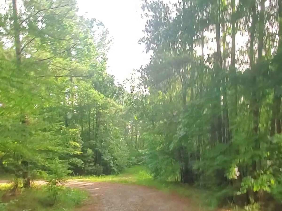Lick Fork Road photo 4
