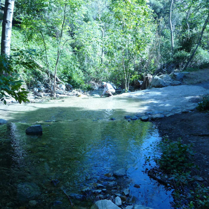 Near Holy Jim Falls Out and Back