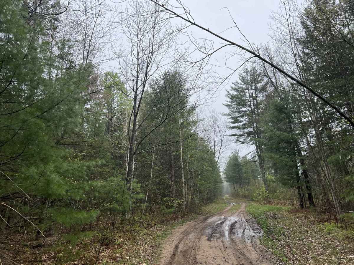 Sawbuck Road - FS 2302 photo 2