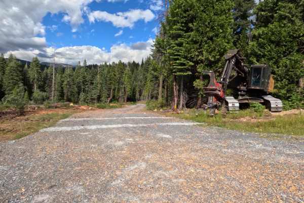 Driscoll Cabin Rd - FS 12N40