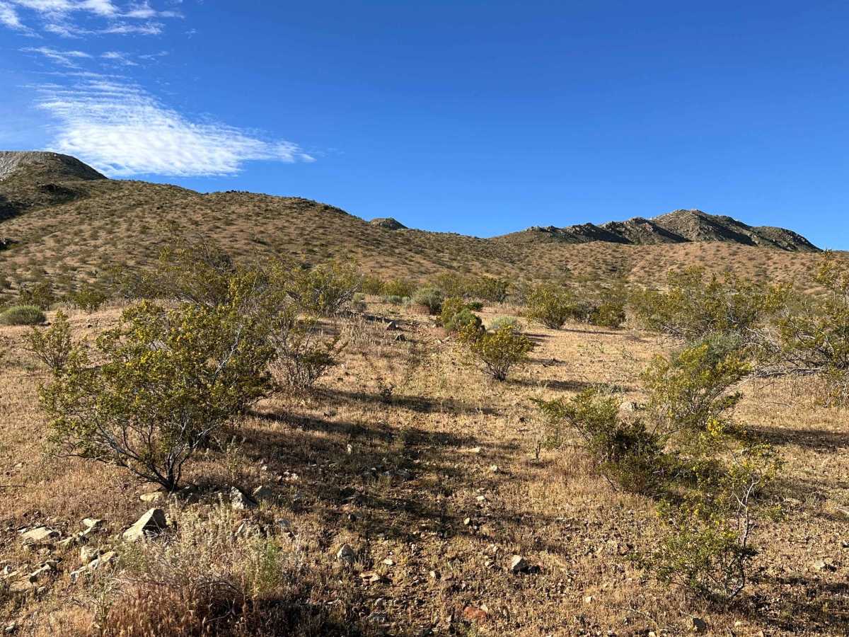 High Desert Hook photo 2