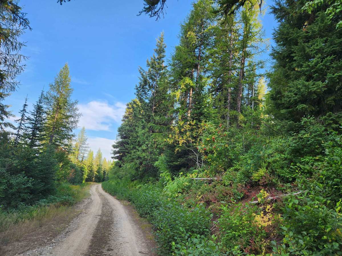 Sex Ridge Road photo 3