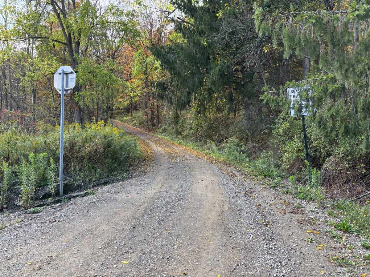Evelund Road trail photo
