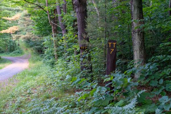Truck Trail 7