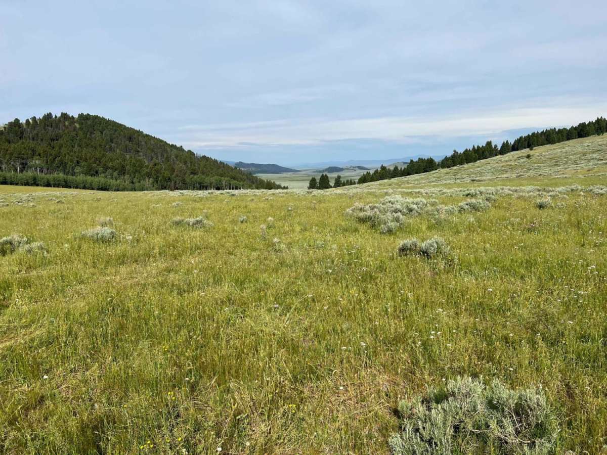 Continental Divide Trail (FS 20056) photo 6