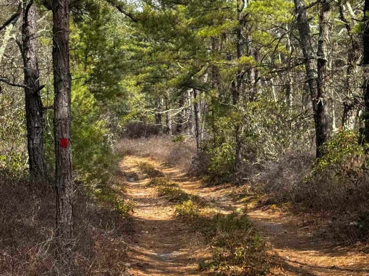 Tuckers Trail photo 4