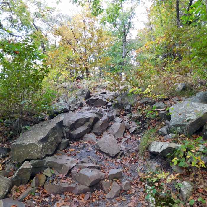 Near River Trail