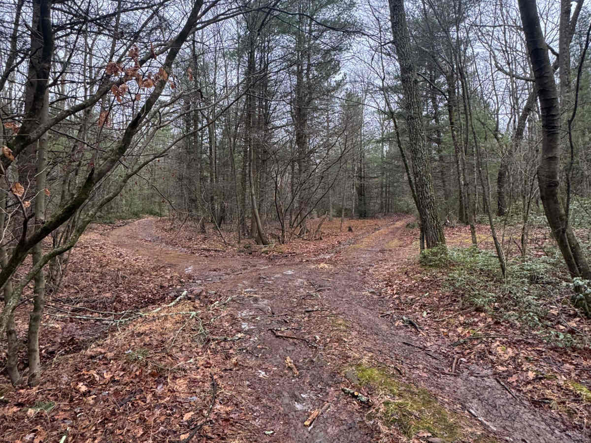 Middle Ridge Trail trail photo